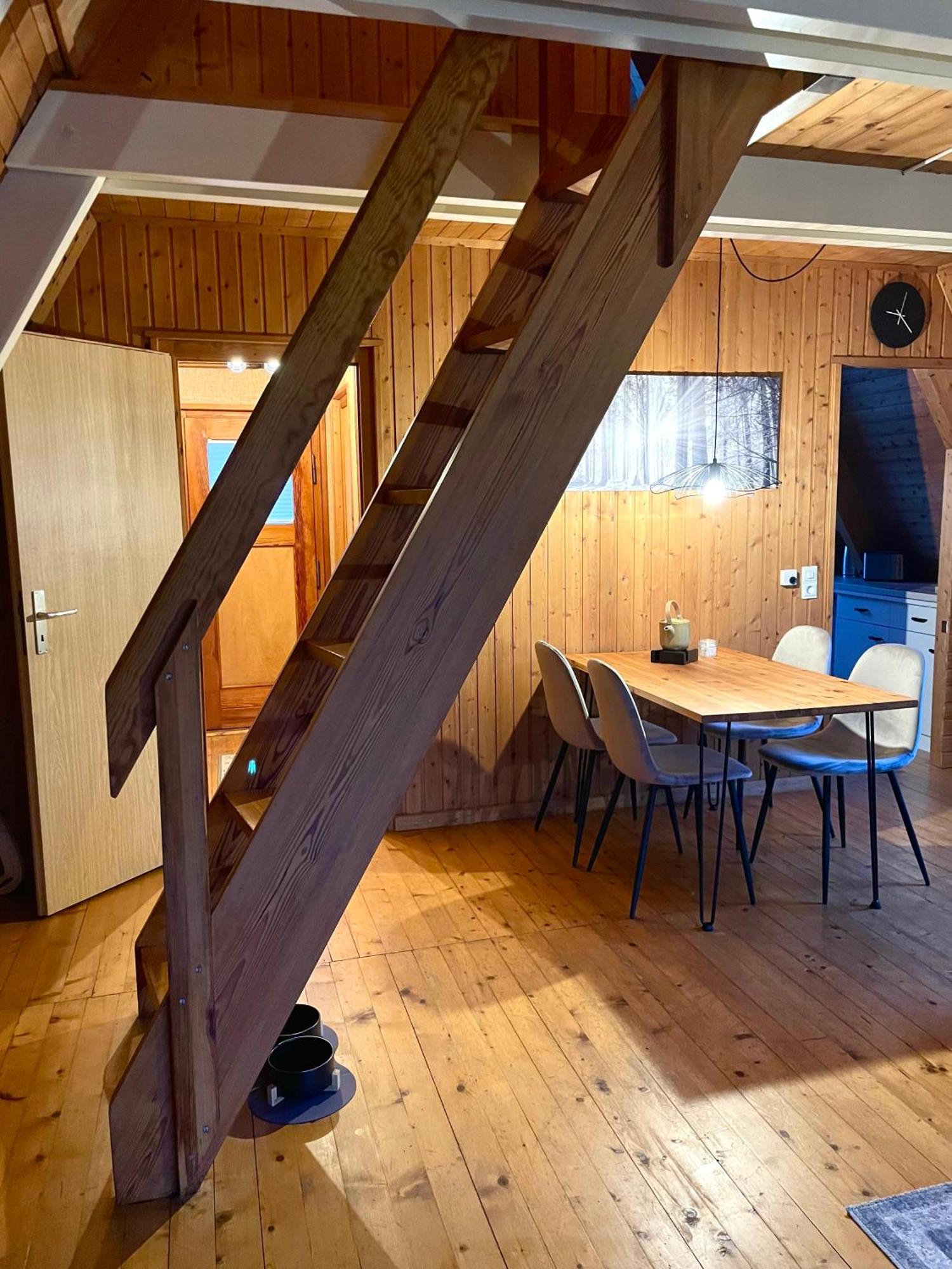 Nur-dach-haus Am Alfsee Holiday home